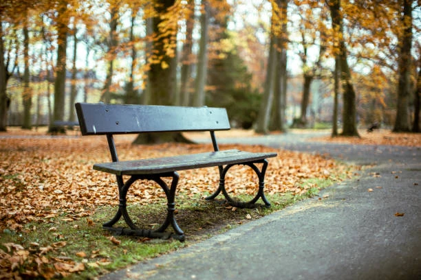 pic for Outdoor Park Bench3
