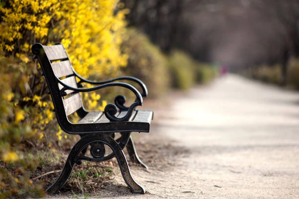 pic for Outdoor Park Bench5