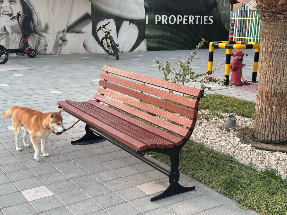 pic for What Material Should a Park Bench Actually Be Made Of?5